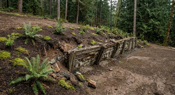 Eroding, leaning hillside with a failing timber wall